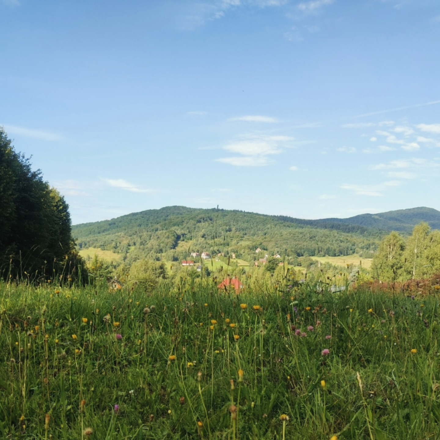 GLINIK WYSOWA ZDRÓJ (15)