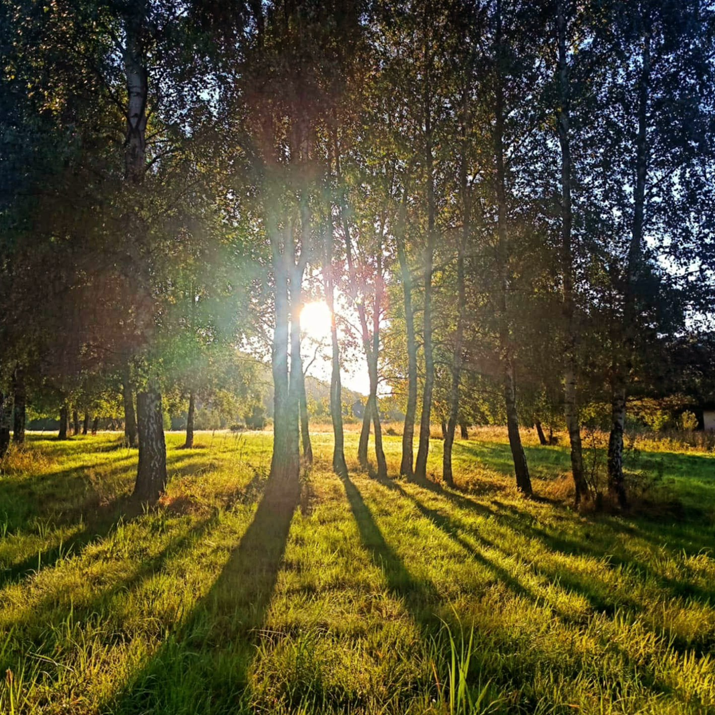 GLINIK WYSOWA ZDRÓJ (16)