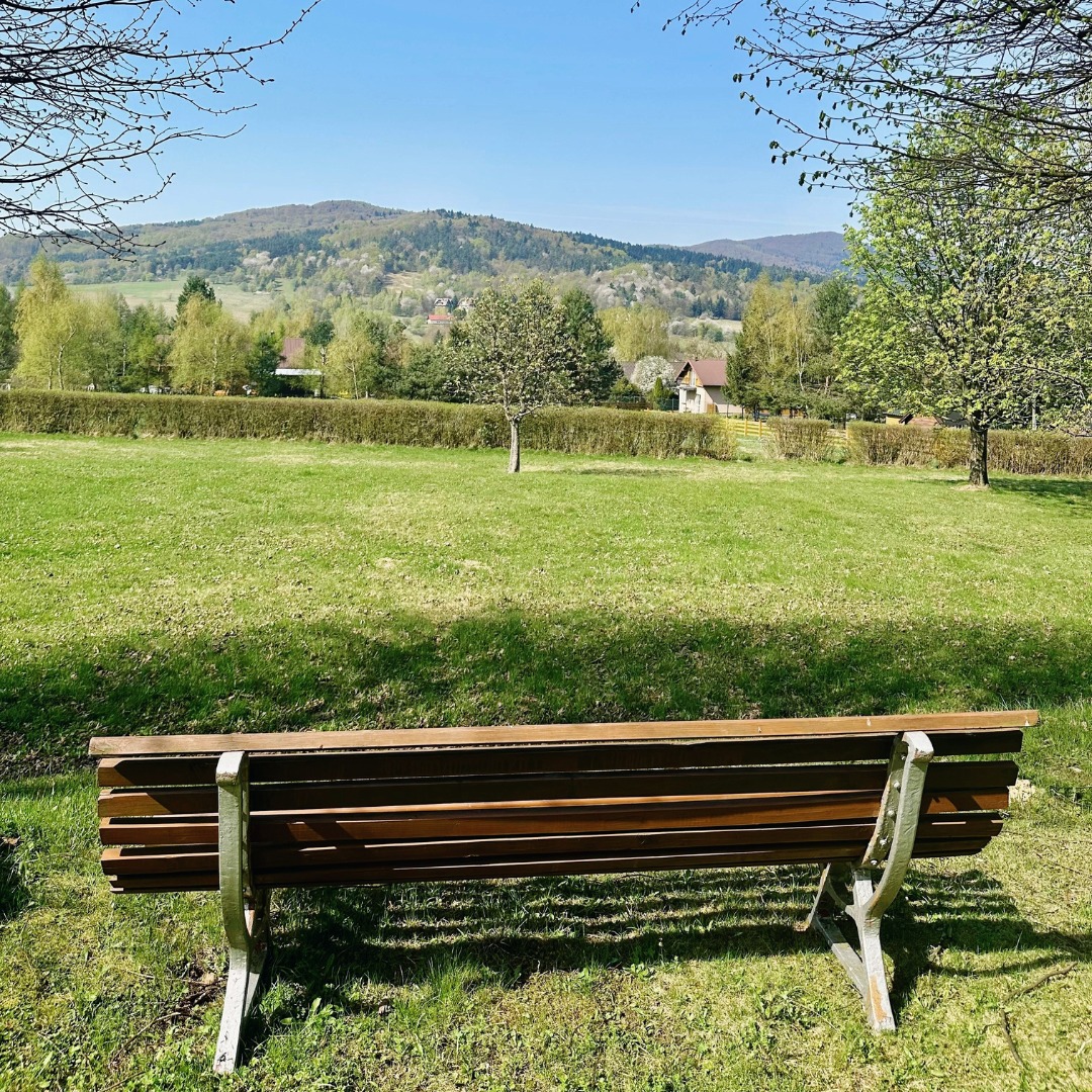 GLINIK WYSOWA ZDRÓJ (4)