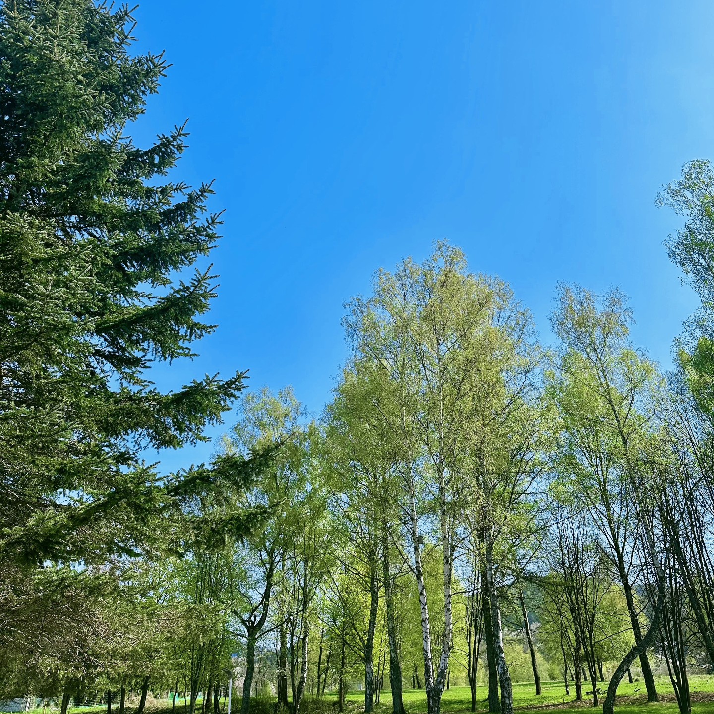 GLINIK WYSOWA ZDRÓJ (6)