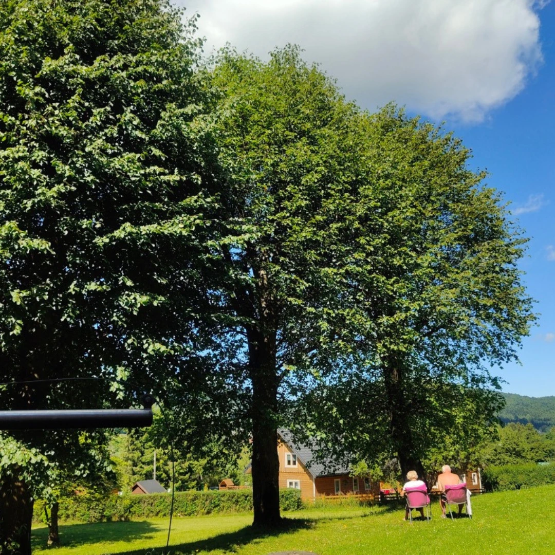 Glinik Wysowa Zdrój (2)