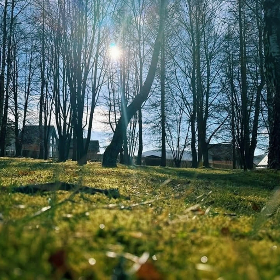 Glinik Wysowa Zdrój (5)